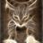 alezzzi's profile image