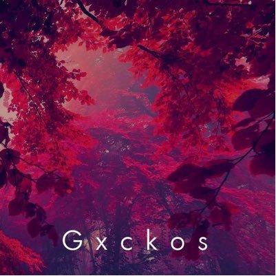 GeckosRuleYou's profile picture. Just a young lad trying to make a name for himself you know?