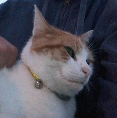 thatvoidcat's profile picture. Person. Queer. she/her, they/them and it/its