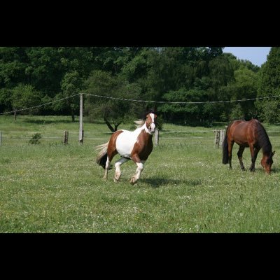 AlexDoepner's profile picture. 