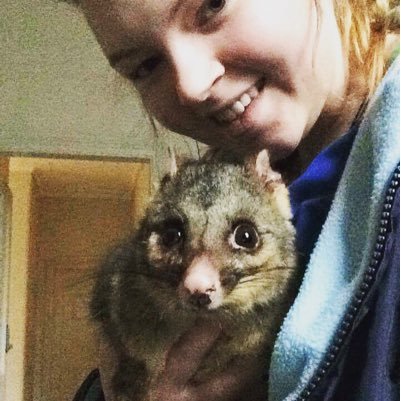VetNurseLife's profile picture. I have just finished my Cert IV in Vet Nursing. I love animals and learning new things!!