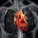 صالح عبد الكريم (@0314559176mrh) Twitter