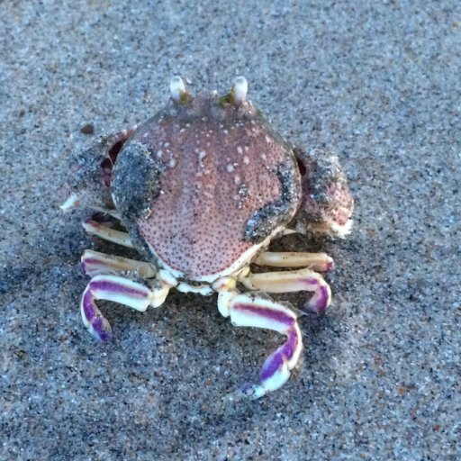 dshawn89's profile picture. Just live life!!