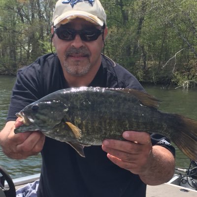 paulprocopi's profile picture. 