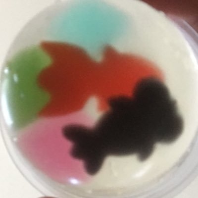 いませんさんのプロフィール画像