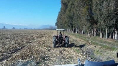 Christi44832783's profile picture. 