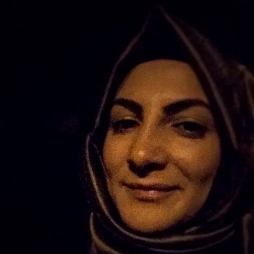 Akademisyen-Açıköğretim Fakültesi- Sonsuza dek öğrenen —Academician-Open Education Faculty- Learner forever