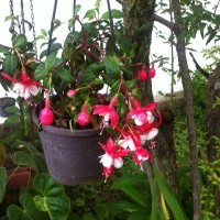 Adelaida Pazos (@adelaidapdf) 's Twitter Profile Photo Adelaida Pazos (@adelaidapdf) 's Twitter Profile Photo