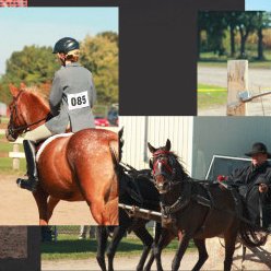 Home of the best small country fair in South West Ontario -