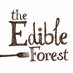 Edible Forest (@edible_forest) Twitter profile photo Edible Forest (@edible_forest) Twitter profile photo