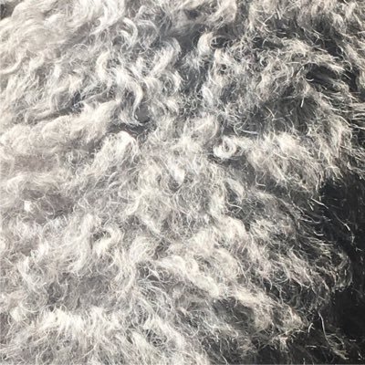 hansodedaisuki3's profile picture. 趣味はアニメ見る事です。このすばとか好きです。アニメでアイリスたん観たいです。