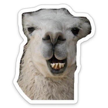 follow @eiramntm on va golri