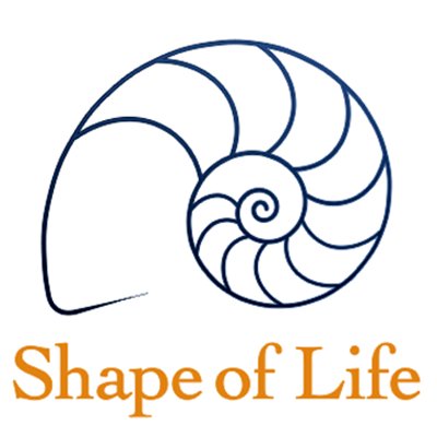 ShapeofLifeorg Profile Picture