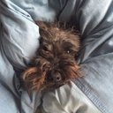 Tim Doyle - @heyszen - Twitter