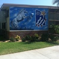 Rio San Gabriel (@rsgmustangs) 's Twitter Profile
