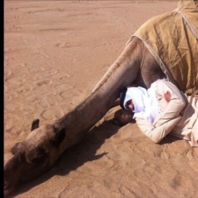 سترها لاتعزوت .. ( يوميات حياة بدوي)