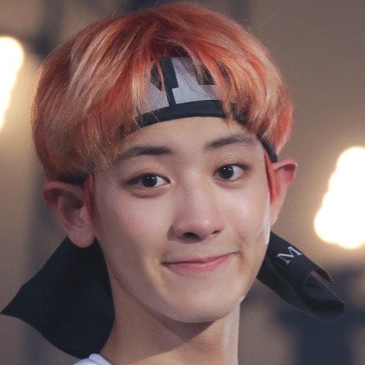 Chanyeol Fanbase
Your daily source of information/updates about EXO's Happy Virus