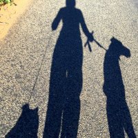 Kim Cofield (@kimlcofield) 's Twitter Profile Photo Kim Cofield (@kimlcofield) 's Twitter Profile Photo