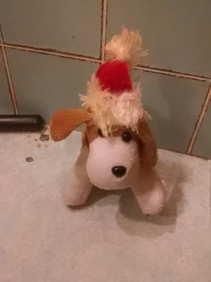 Elaina28289834's profile picture. funny nice