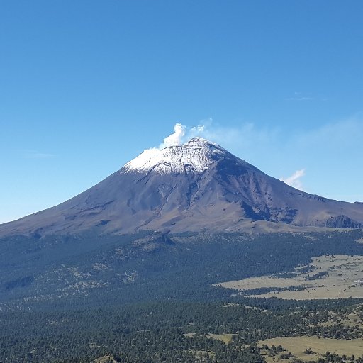 womeat's profile picture. 