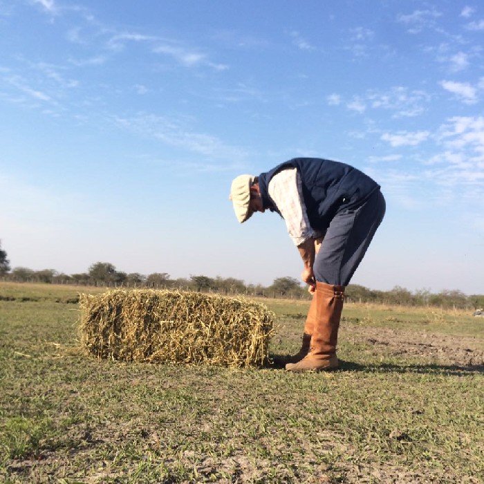 Estudiaste de Veterinaria, criador de Corriedale y Hereford... sencillo y de alpargatas jaja