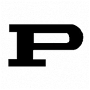 Permian Panthers
