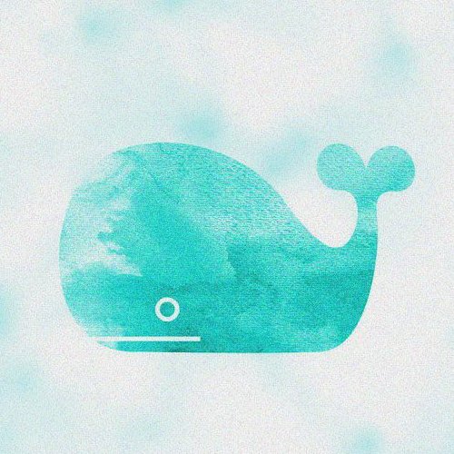 TasyWhale's profile picture. 