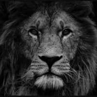 Kevin Hodge (@k12hodge) 's Twitter Profile Photo Kevin Hodge (@k12hodge) 's Twitter Profile Photo