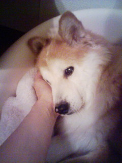 montmorency34's profile picture. さあ、つぶやきにとびこんでみる？