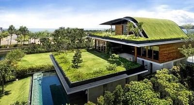 ChristoferPf's profile picture. 