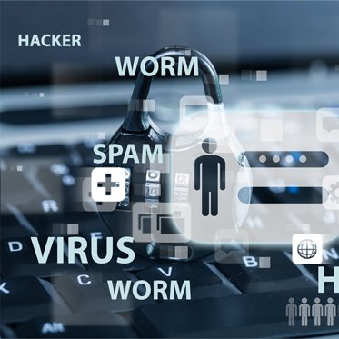 fiverr44's profile picture. 4 years old seo expert