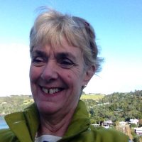 Sally Davies 🇺🇦 (@sallydavies27) 's Twitter Profile