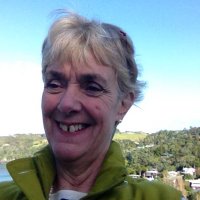 Sally Davies 🇺🇦(@sallydavies27) 's Twitter Profile Photo