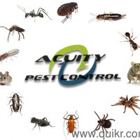 Acuity Pest Control(@acuitypest) 's Twitter Profile Photo