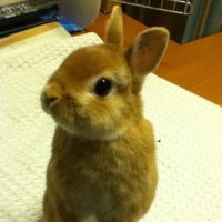 たー (@sawa1326) Twitter profile photo