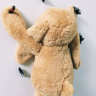 EchoKillua's profile picture. 