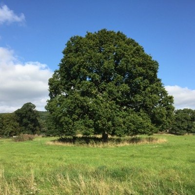 RGX8589's profile picture. My hours are my own. Always looking forward, never back. RT ≠ endorsement