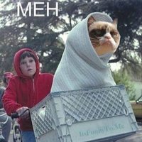 papertiger 174 (@papertiger174) Twitter profile photo