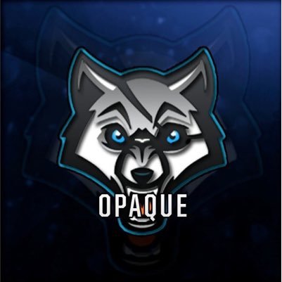 Opaque is a group of fellow streamers/ content creators who come together and bring all of you the best possible entertainment we can!