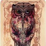 rodriz1996's profile picture. 