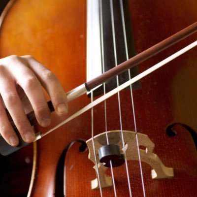 I love to play cello, make films, walk, read books and travel-but who wouldn't!