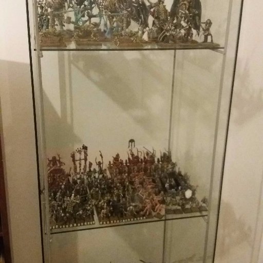 TabordaNuno's profile picture. 