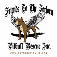 FTTFPitbull Rescue(@FTTFPitbull) 's Twitter Profile Photo