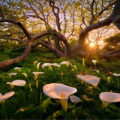 ﴿رَبَّنَا اغْفِرْ لِي وَلِوَالِدَيَّ وَلِلْمُؤْمِنِينَ يَوْمَ يَقُومُ الْحِسَابُ﴾