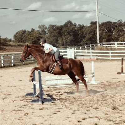 Just a girl who loves horses. That's my story. •#RideAboveHate