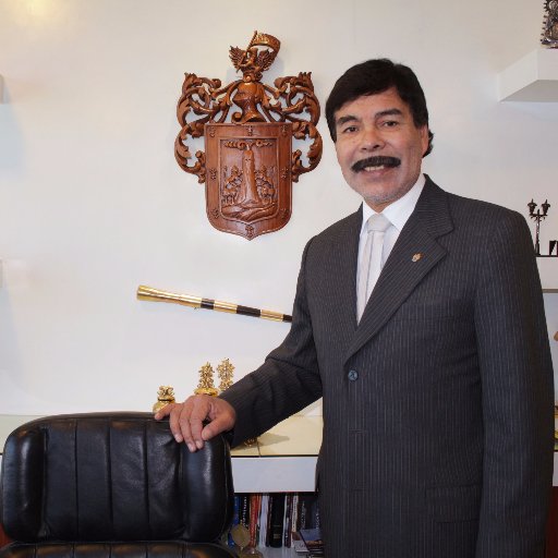 Alcalde de Arequipa (2011 - 2018), Docente Universitario y Médico.