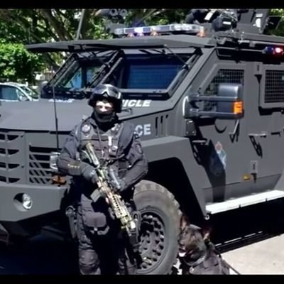 BrandonPalm3's profile picture. Gaming  HELPING CAT'S 7 grader at Progress Village middle