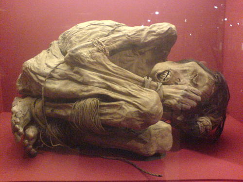 dippydoodah's profile picture. Qualified Embalmer. Part time hippy, full time lover of life...she/her