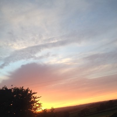 Rhixnnxnlee02's profile picture. 