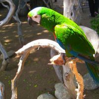 Sannri's profile picture. I love a good laugh and I like to see beautiful things, but I do not ignore the voices of those who are sad.